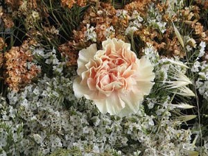 Temps de Flors 2021. Passeig Arqueol&ograve;gic. La majordoma de Sant Narc&iacute;s
