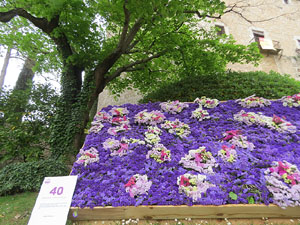 Temps de Flors 2021. Passeig Arqueol&ograve;gic. Davant les Sarra&iuml;nes