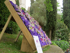 Temps de Flors 2021. Passeig Arqueol&ograve;gic. Davant les Sarra&iuml;nes