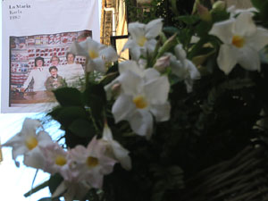 Temps de Flors 2021. Carrer Ballesteries