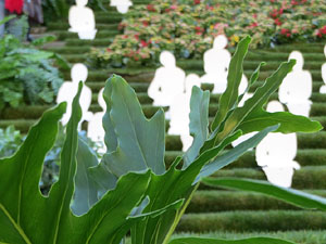 Escales de la Catedral