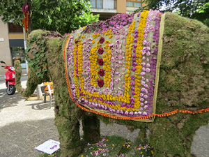 Temps de Flors 2021. Ronda Pare Claret