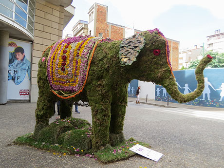 Temps de Flors 2021. Ronda Pare Claret