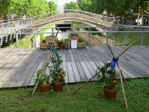 Temps de Flors 2021. El Pont del Dimoni
