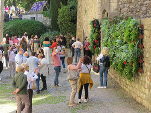 Temps de Flors 2021. Espais diversos