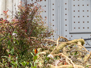 Temps de Flors 2021. Escales de la bas&iacute;lica de Sant Feliu