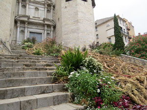 Temps de Flors 2021. Escales de la bas&iacute;lica de Sant Feliu