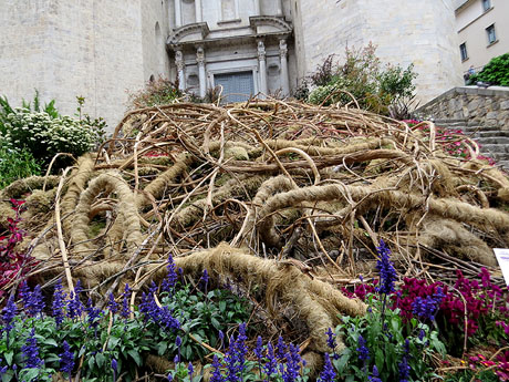 Temps de Flors 2021. Escales de la bas&iacute;lica de Sant Feliu