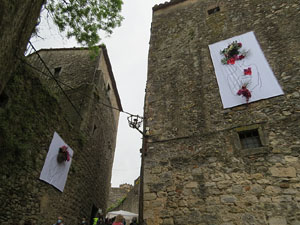 Temps de Flors 2021. Carrer de Ferran el Cat&ograve;lic