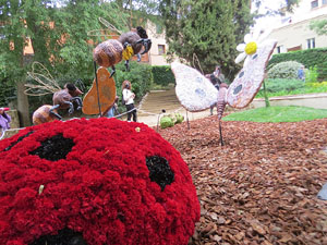 Temps de Flors 2021. Els Jardins del doctor Figueras