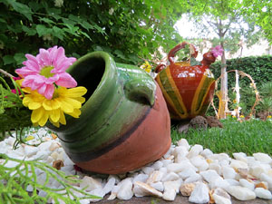 Temps de Flors 2021. Els Jardins del doctor Figueras