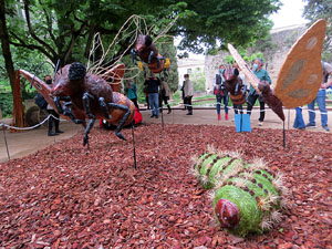 Temps de Flors 2021. Els Jardins del doctor Figueras