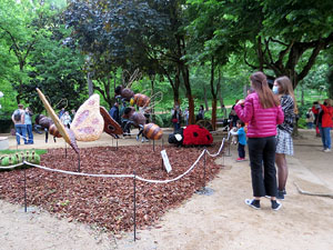 Temps de Flors 2021. Els Jardins del doctor Figueras