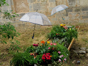 Temps de Flors 2021. El riu Galligants