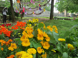 Temps de Flors 2021. Jard&iacute; de la Inf&agrave;ncia