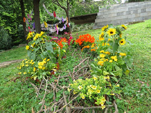 Temps de Flors 2021. Jard&iacute; de la Inf&agrave;ncia
