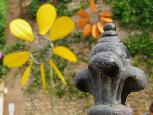 Temps de Flors 2021. Jard&iacute; de la Inf&agrave;ncia