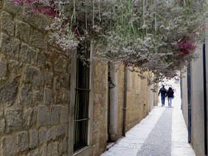 Temps de Flors 2021. Carrer de la Llebre
