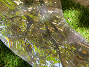 Temps de Flors 2021. El Pati de les Magn&ograve;lies