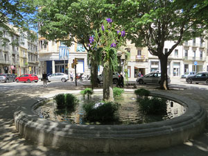 Temps de Flors 2021. Brollador de la pla&ccedil;a Marqu&egrave;s de Camps