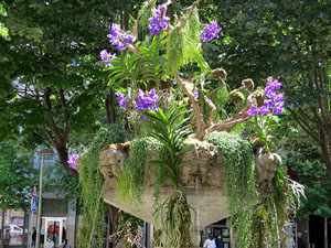 Temps de Flors 2021. Brollador de la pla&ccedil;a Marqu&egrave;s de Camps