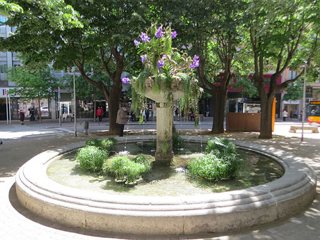 Temps de Flors 2021. Brollador de la pla&ccedil;a Marqu&egrave;s de Camps