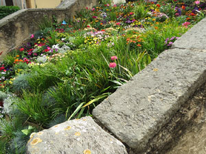 Temps de Flors 2021. Pujada de la Merc&egrave;