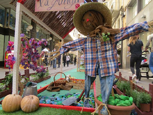 Temps de Flors 2021. Carrer Nou