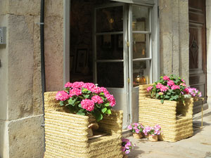 Temps de Flors 2021. Carrer Nou del Teatre