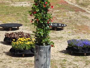 Temps de Flors 2021. Terrassa de l'Onyar