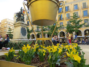 Temps de Flors 2021. La pla&ccedil;a de la Independ&egrave;ncia