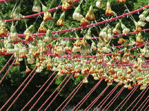 Temps de Flors 2021. Pont de l'alferes Huarte