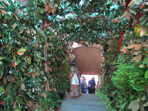 Temps de Flors 2021. Pont de les Peixateries Velles