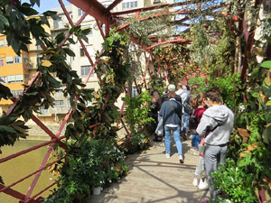 Temps de Flors 2021. Pont de les Peixateries Velles