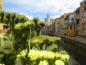 Temps de Flors 2021. Pont de les Peixateries Velles
