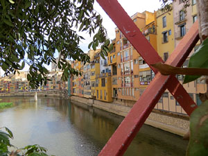 Temps de Flors 2021. Pont de les Peixateries Velles
