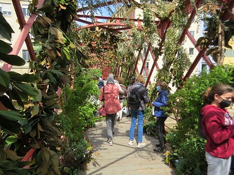 Temps de Flors 2021. Pont de les Peixateries Velles