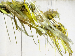Temps de Flors 2021. Pont de Sant Agust&iacute;