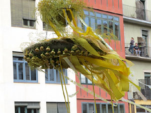 Temps de Flors 2021. Pont de Sant Agust&iacute;