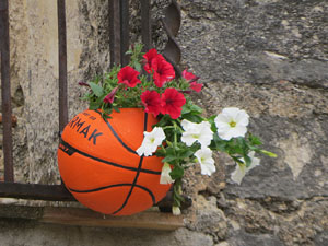 Temps de Flors 2021. Fa&ccedil;ana de Can Porcalla i Torre Rufina