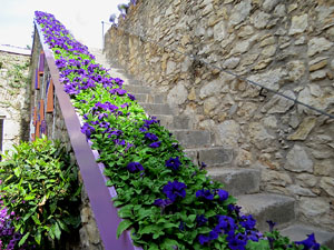 Temps de Flors 2021. La capella de Sant Crist&ograve;fol