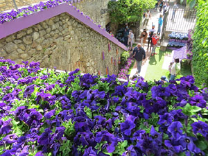 Temps de Flors 2021. La capella de Sant Crist&ograve;fol