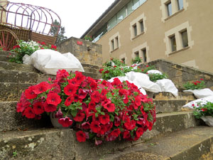 Temps de Flors 2021. UdG - Escales de Sant Dom&egrave;nec