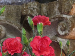 Temps de Flors 2021. La bas&iacute;lica de Sant Feliu