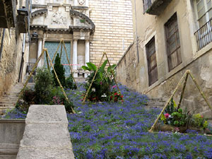 Temps de Flors 2021. Escales de Sant Mart&iacute;
