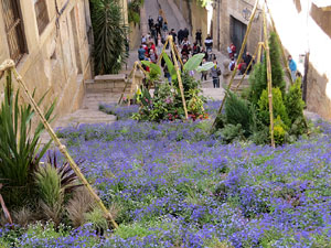 Temps de Flors 2021. Escales de Sant Mart&iacute;