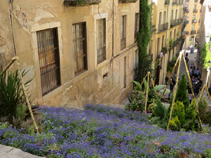 Temps de Flors 2021. Escales de Sant Mart&iacute;