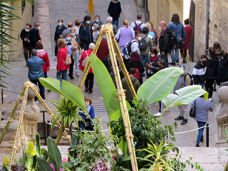 Temps de Flors 2021. Escales de Sant Mart&iacute;