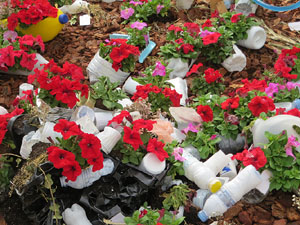 Temps de Flors 2021. Pla&ccedil;a Jacint Verdaguer i Santal&oacute;