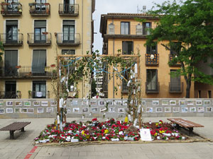 Temps de Flors 2021. Pla&ccedil;a Jacint Verdaguer i Santal&oacute;